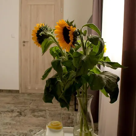Apartament Smartrooms Olsztyn (Warmian-Masurian)