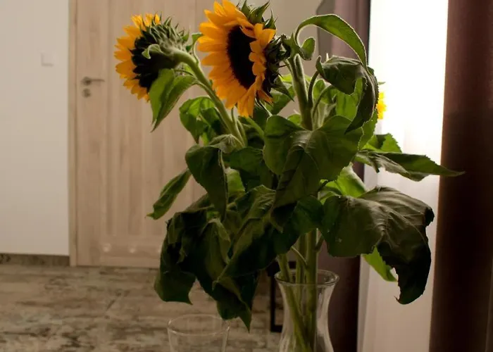 Daire Smartrooms Olsztyn (Warmian-Masurian)